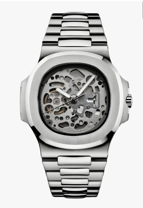 Nautilus Skeleton